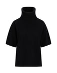 Arwyn Ss Turtleneck