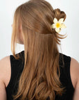 Plumeria Bisou Big