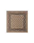 Adelina Paisley Knit Scarf