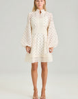 Aliah dot dress