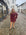 Lola Sleeve Dress i burgunder i polyester, kjole fra Designers Remix hos Image Mandal