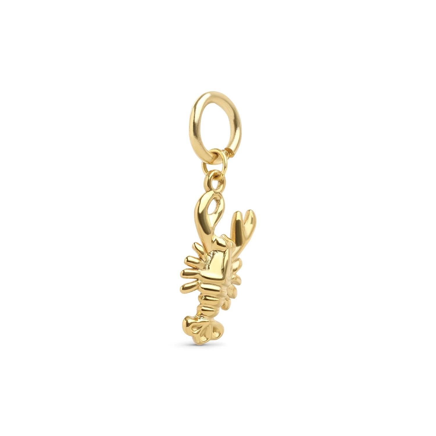 Cara - Lobster Charm Stainless Steel
