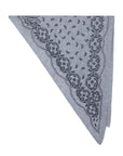Lolana Paisley Knit Scarf