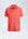 Dani Ss Pique i Washed Red, piqué fra Urban Pioneers hos Image Mandal