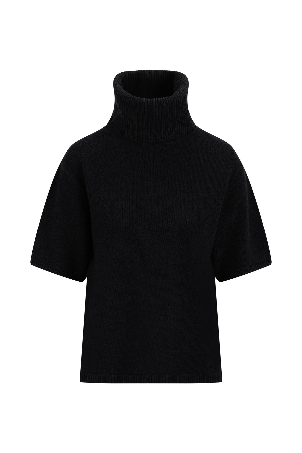 Arwyn Ss Turtleneck