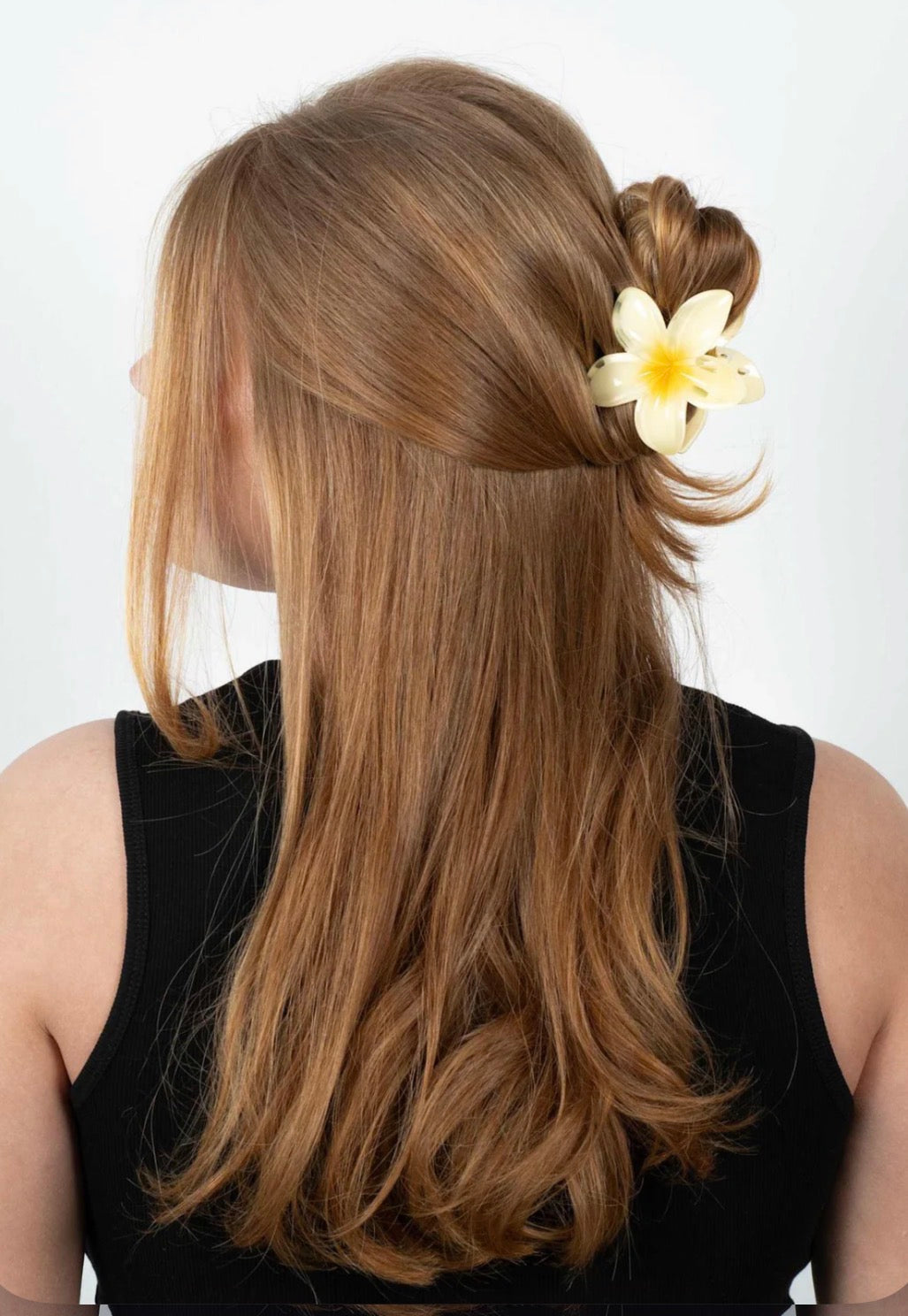 Plumeria Bisou Big