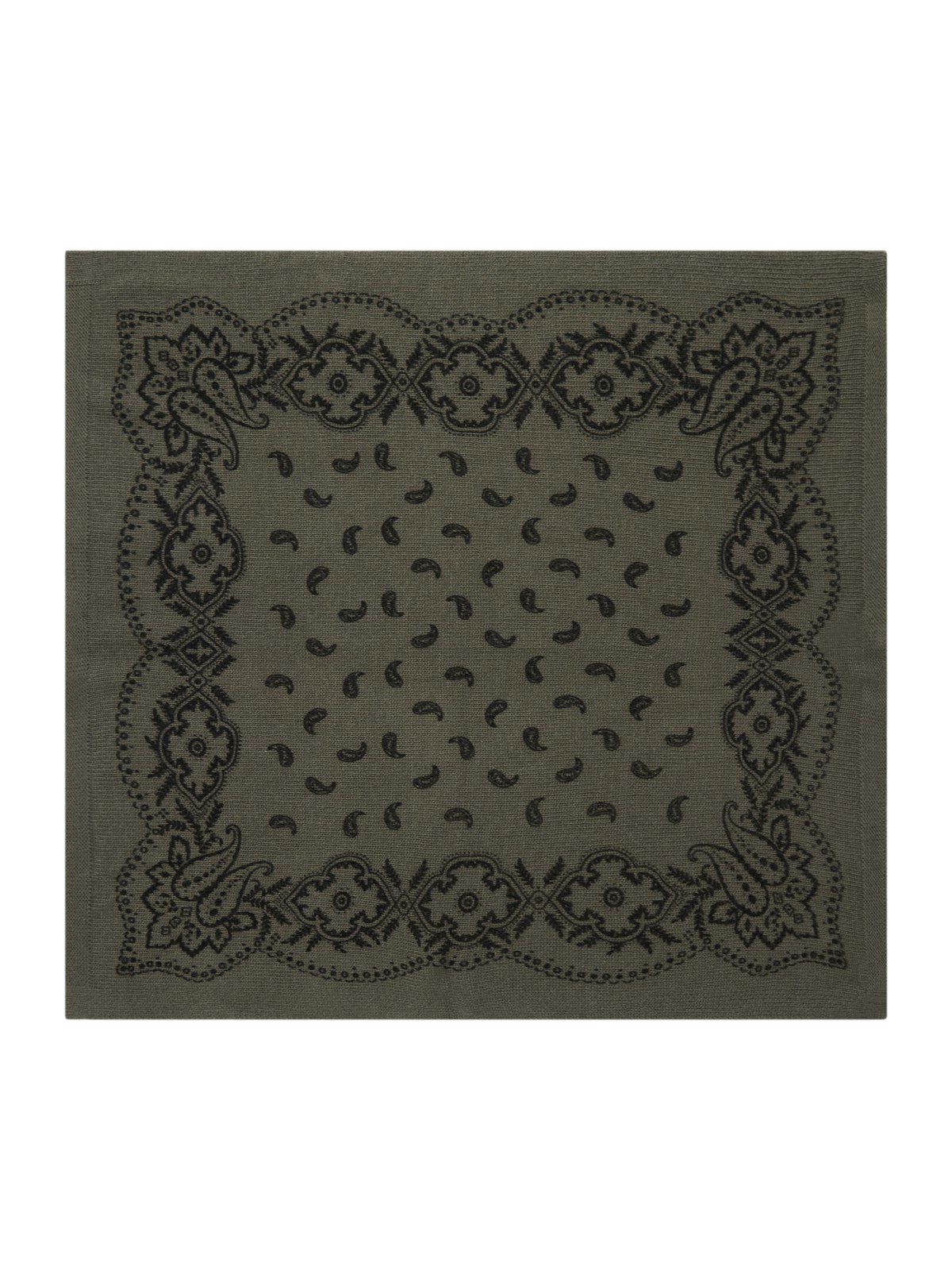 Adelina Paisley Knit Scarf