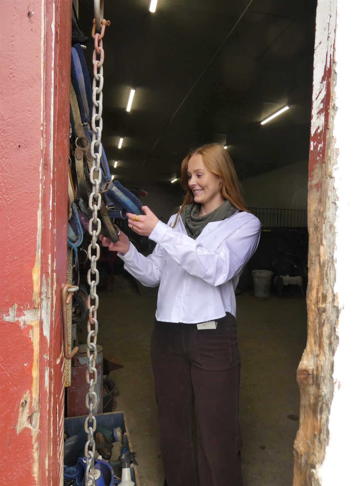 Daliacc Shirt