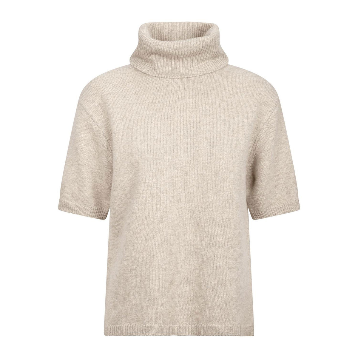 Arwyn Ss Turtleneck