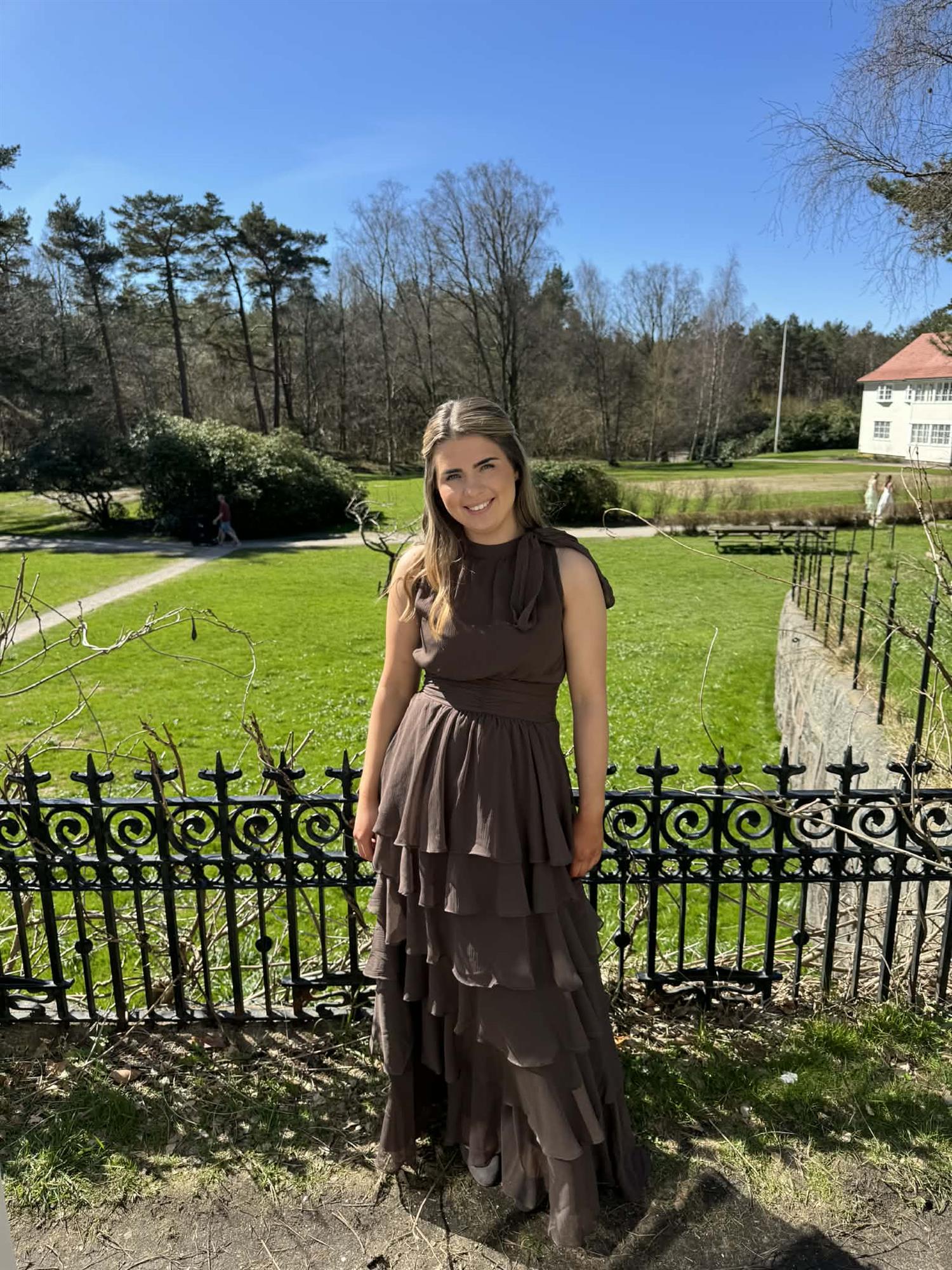 Marli Solid Chiffon Dress i dus brun i polyester, kjole fra Neo Noir hos Image Mandal