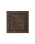 Adelina Paisley Knit Scarf