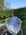 Woven-Sport Shirt-Shirt i Blue/white, skjorte fra Polo Ralph Lauren hos Image Mandal