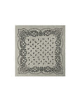 Adelina Paisley Knit Scarf