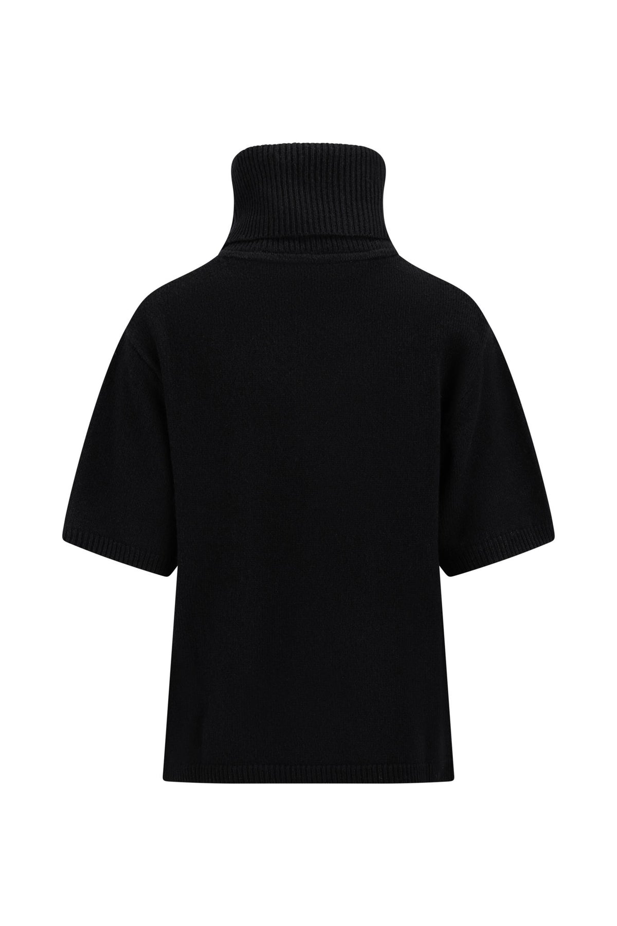 Arwyn Ss Turtleneck