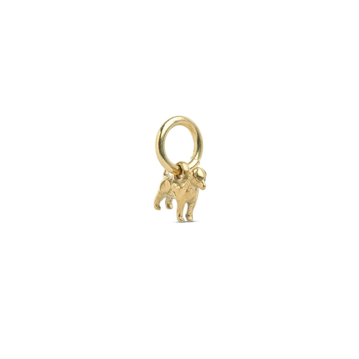 Roya - Dog Charm Stainless Steela
