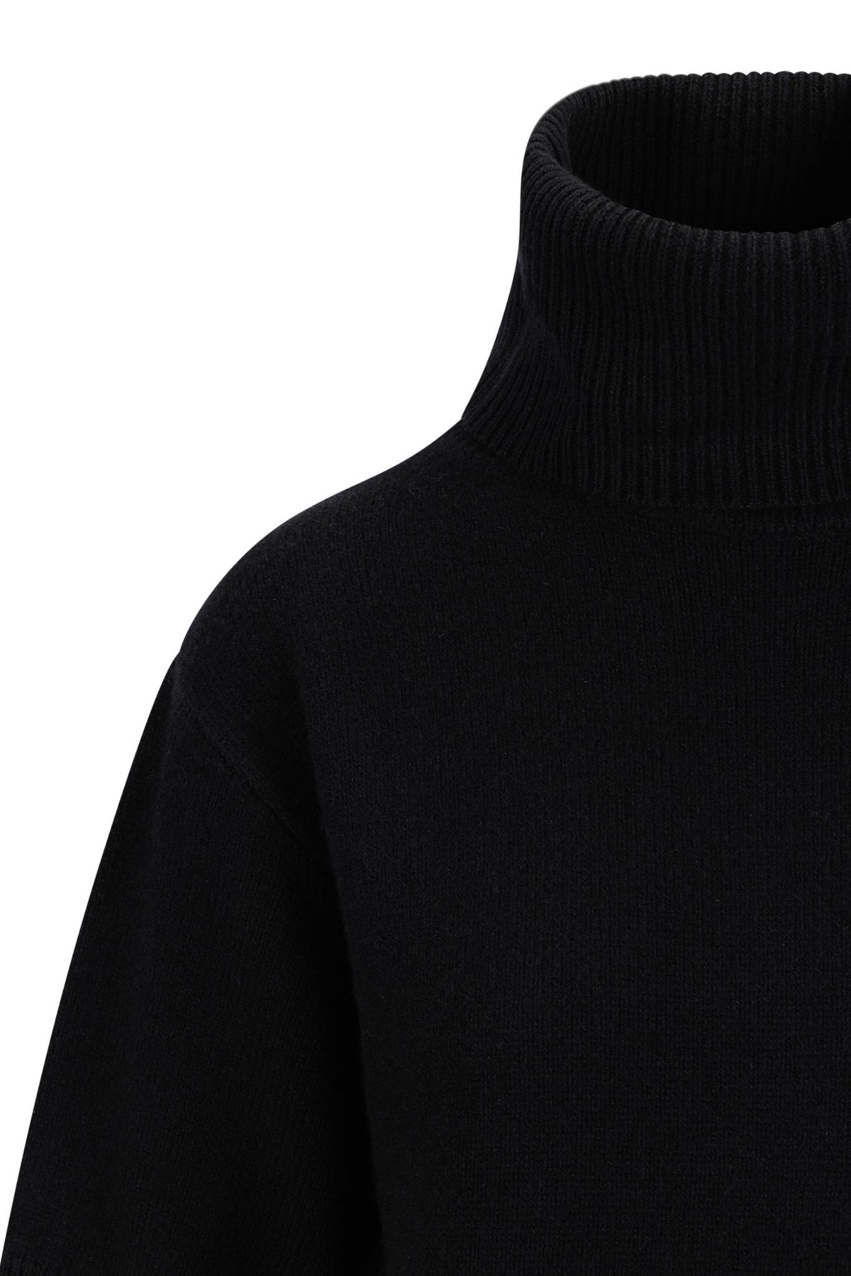 Arwyn Ss Turtleneck