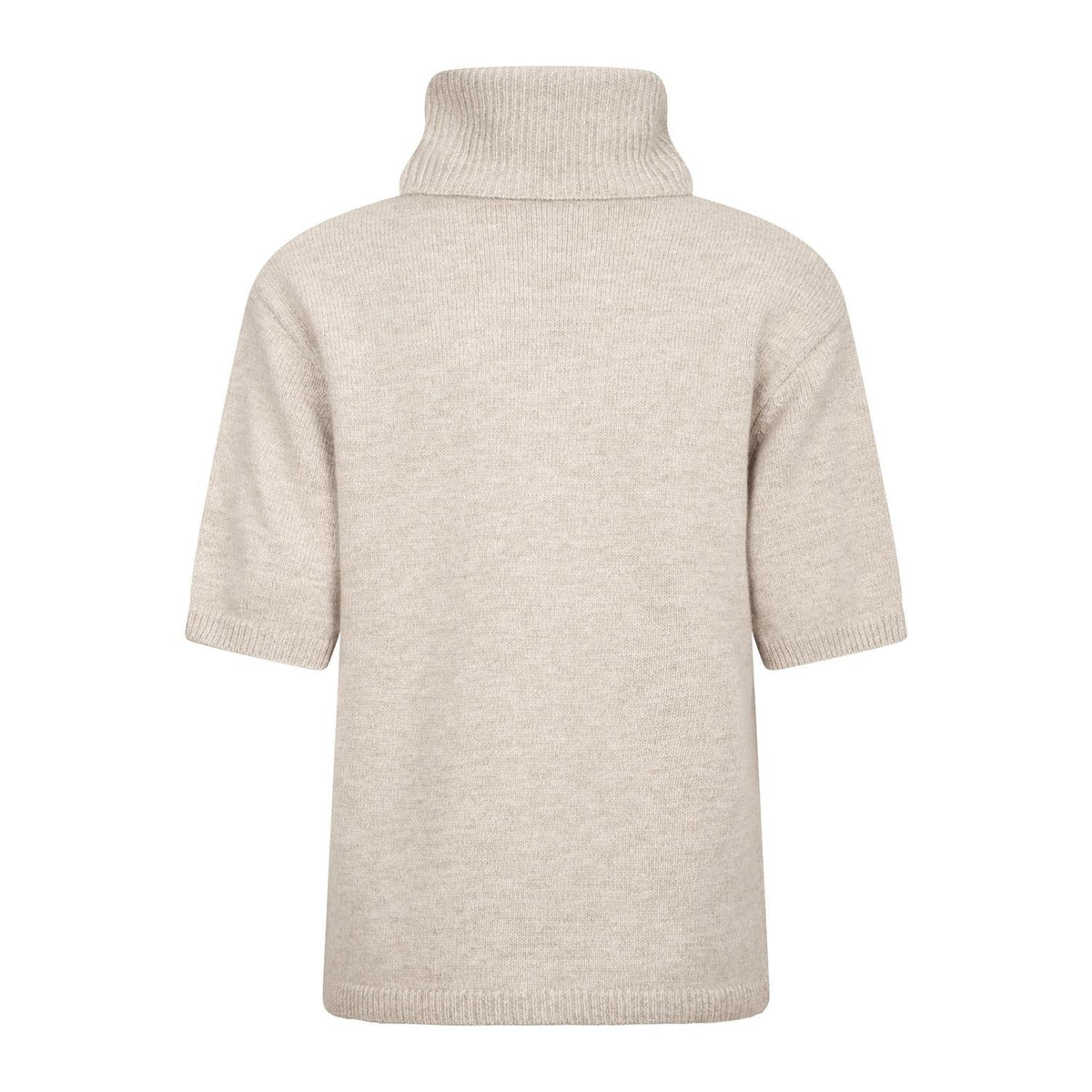 Arwyn Ss Turtleneck