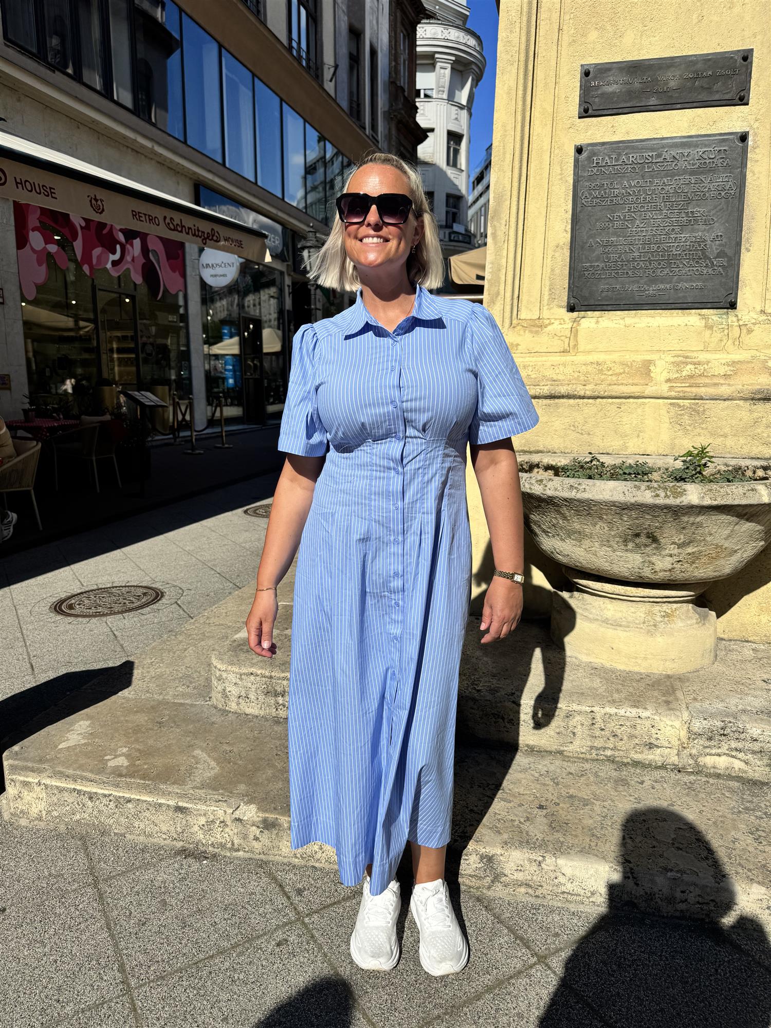 Baia Stripe Poplin Dress
