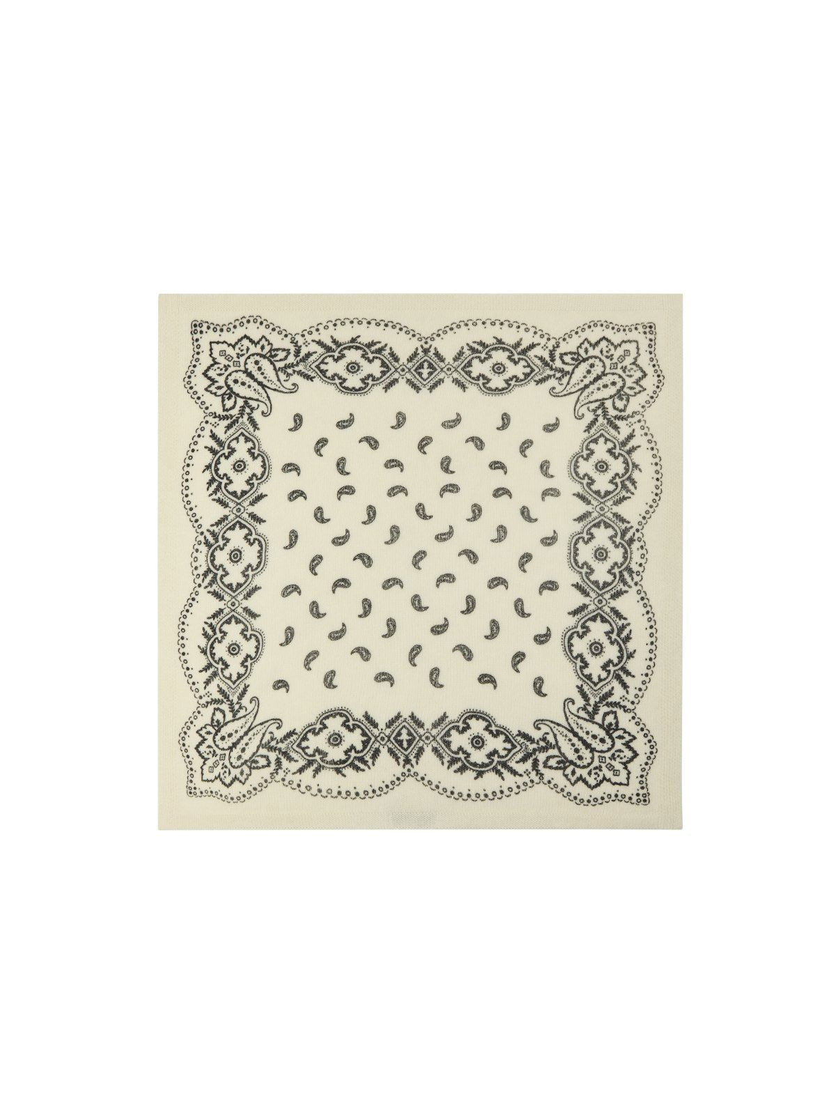 Adelina Paisley Knit Scarf