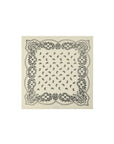 Adelina Paisley Knit Scarf