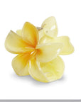 Plumeria Bisou Big